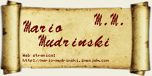 Mario Mudrinski vizit kartica